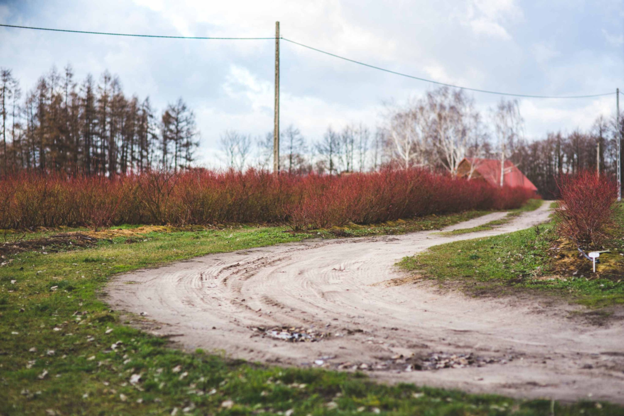 jpeg optimizer dirt way scaled